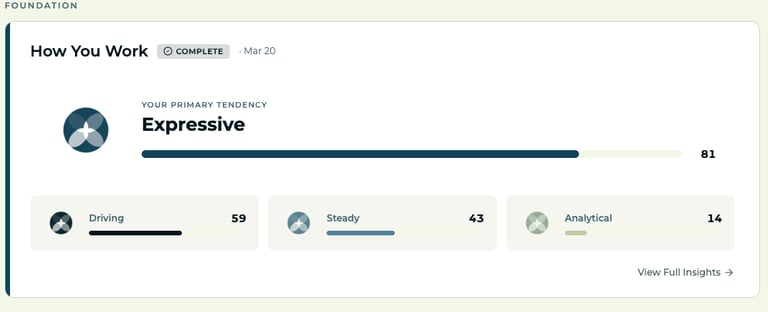 Personality assessment dashboard showing an expressive primary tendency score of 81 with driving, steady, and analytical