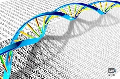 DNA Helix on top of Printed-out DNA Sequence