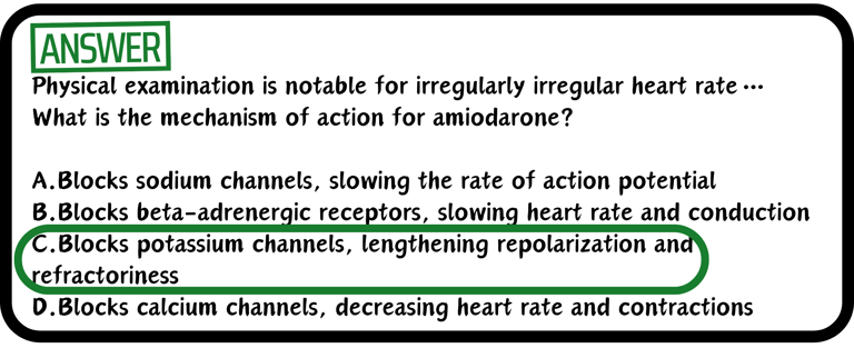 A USMLE practice multiple choice drug mechanism practice question.correct answer reveal.