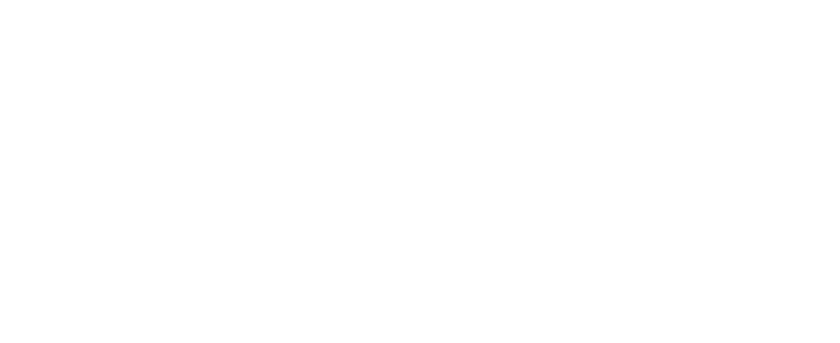 Intrepid Mental Wellness