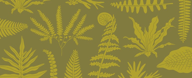 Fern City Brand Pattern of hand drawn illustrated ferns