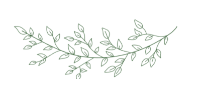 a branch of a plant with leaves on it