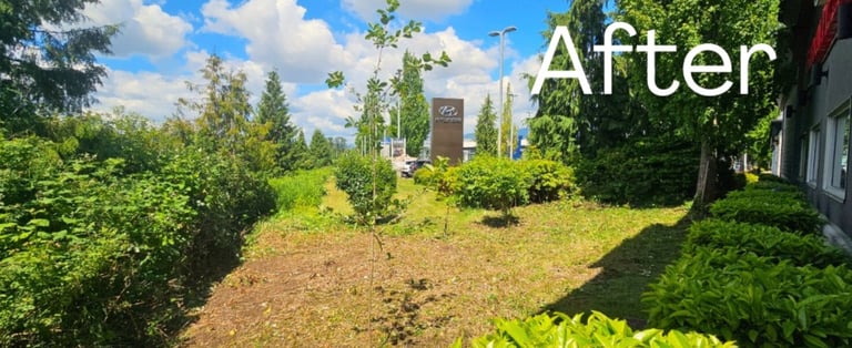 cleared land with some trees beside a house with a large sign in the background