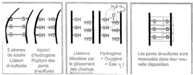 chimie lissage japonais