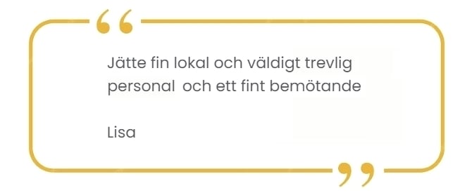 Customer Review 1 (Lisa)