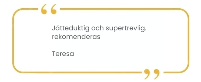 Customer Review 11 (Teresa)