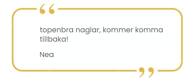 Customer Review 6 (Nea)