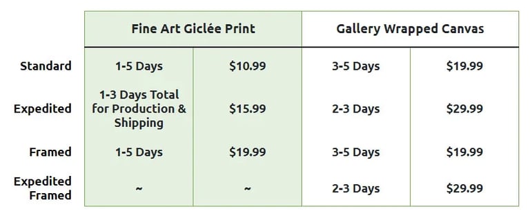 Shipping options and costs