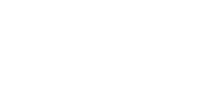 logo alter-native