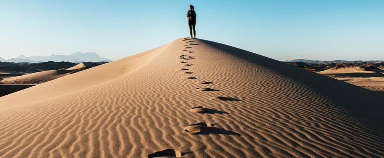 La Gratitude en Vadrouille