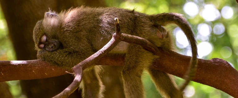 Dormir à l’aéroport