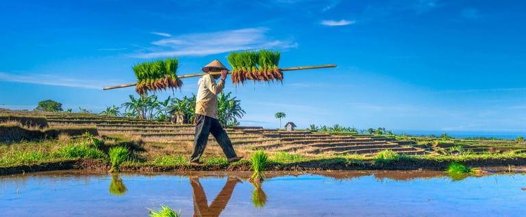 9 astuces pour voyager léger