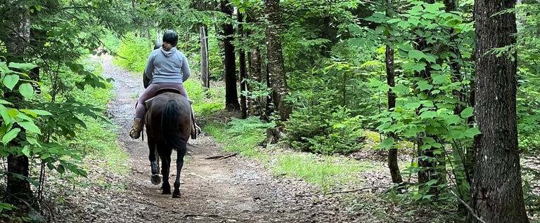 a person riding a horse down a path in the woods