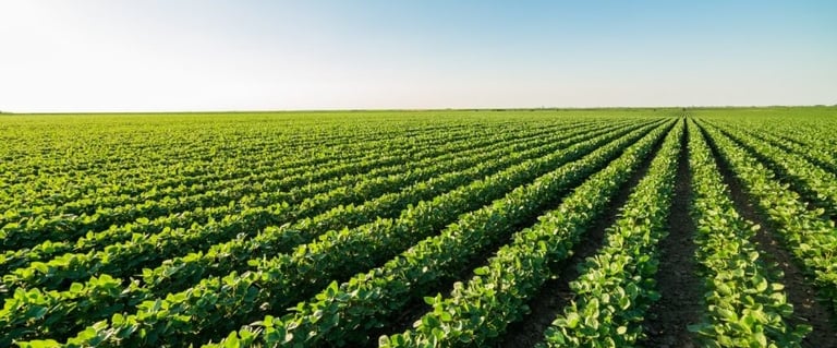 Licenciamento ambiental para fazenda-de-soja