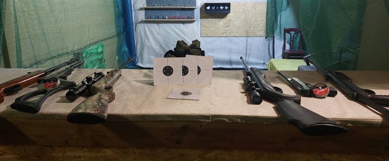 pneumatinis ginklu tiras su taikiniais ir ginklais