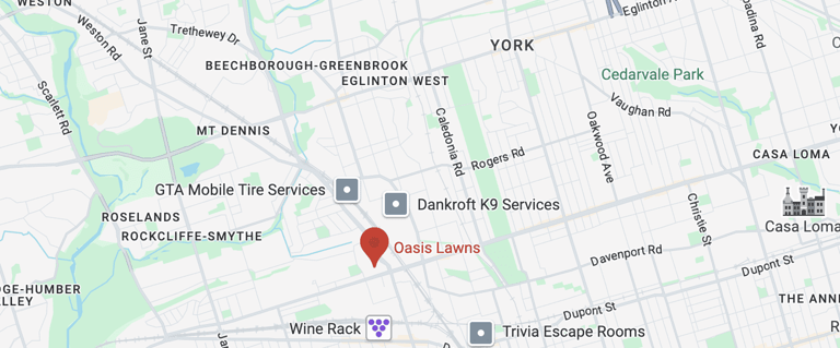 google maps view of oasis lawns headquarters in toronto.