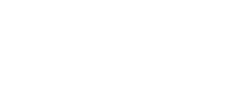 logo alter-native