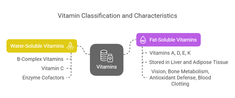 classification vitamins
