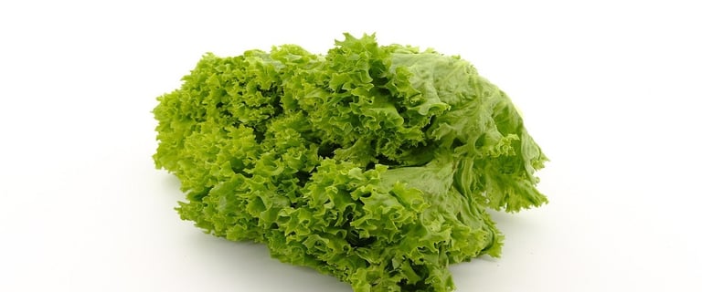 Lettuce