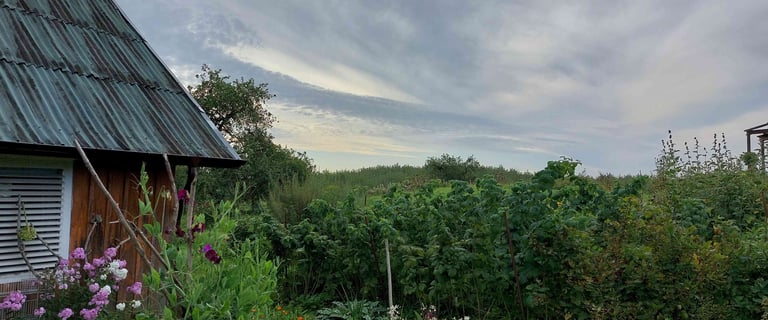 „Žolynų medus“ bitynas įsikūręs natūralios žemdirbystės ūkyje „Žolynų namai", kur bites renka nektarą iš laukinių pievų žiedų