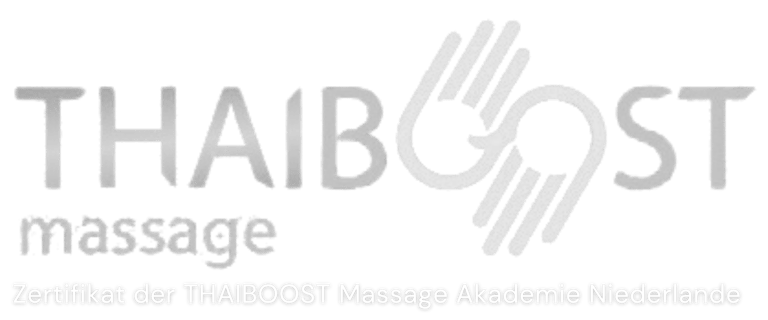 Thaiboost academy logo thai solution Massage