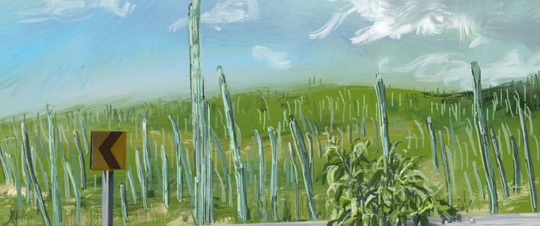 Mexico road trip - digital postcard