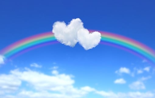 Die Regenbogenbrücke soll in Erinnerung an alle Welpen die es nicht geschafft haben sein.