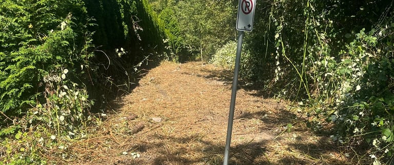 After bushes were cleared out with a machine