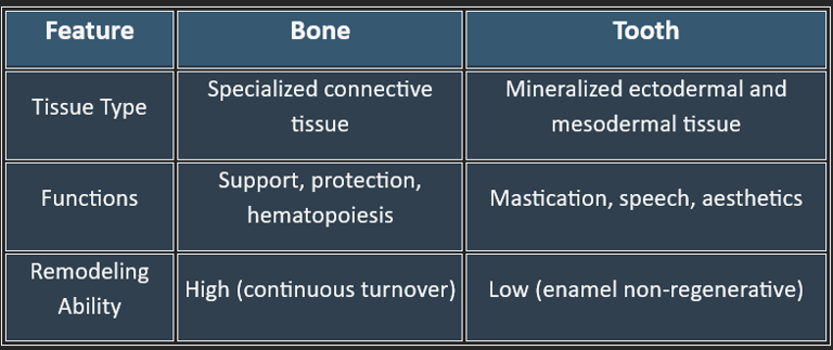 bone_tooth_overview