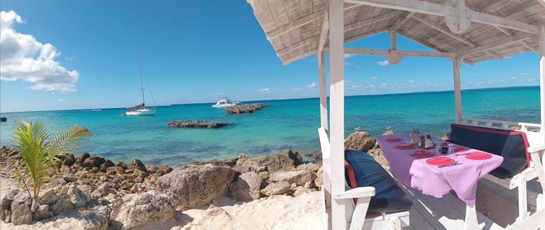 private charter Saona island