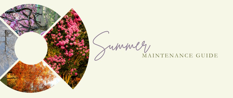 Summer landscape maintenance in Williamsburg VA with lawn care, shrub management, and masonry preservation.