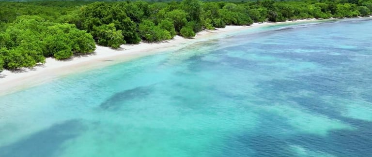 souffleur voyage france guadeloupe