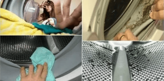 Pelėsis skalbimo mašinoje / skalbyklėje. Kaip to išvengti?