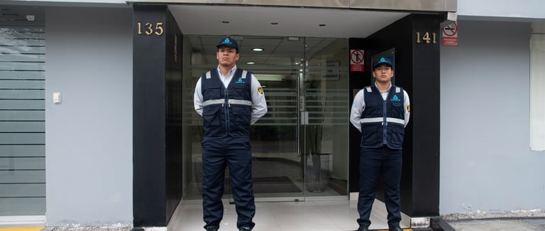 seguridad en la empresas
