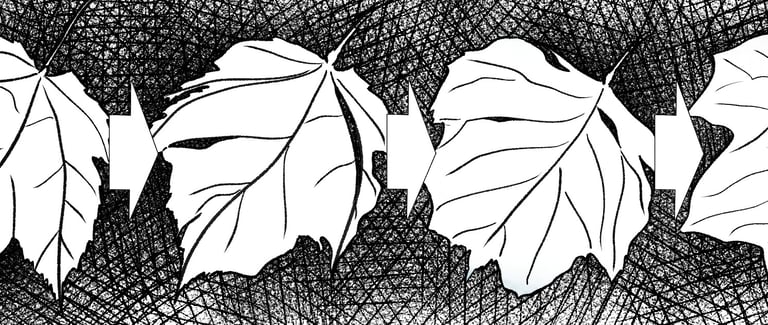 Invasive plant species illustration