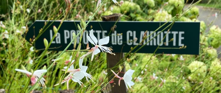 Popotte de clairotte et dans ma bulle à bordeaux