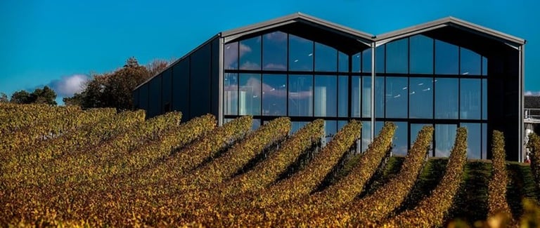 un vignoble avec une grande fenêtre de verre et une vue sur le vignoble