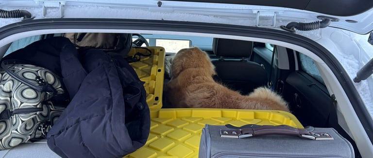 Alfie ready for day 2