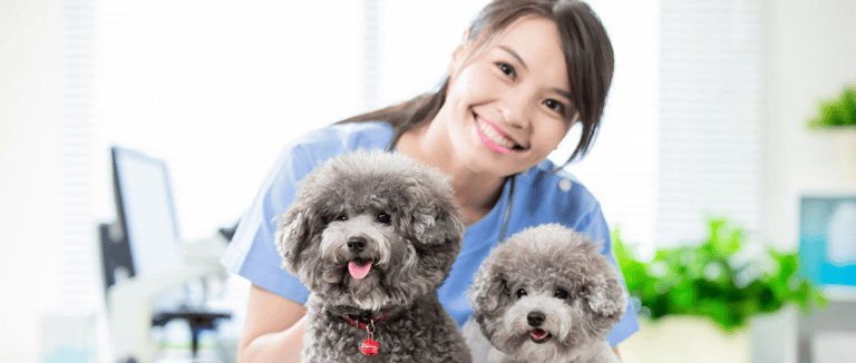 How to Choose the Best Veterinary CMS for Your Clinic in Malaysia
