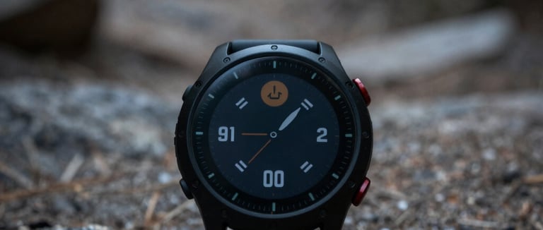 A rugged mountain trail winding through dense pine forest under a cloudy sky.