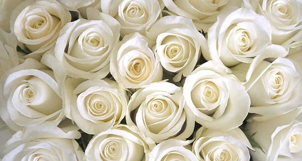 Servicio de flores. Arreglos florales a medida para funerales.