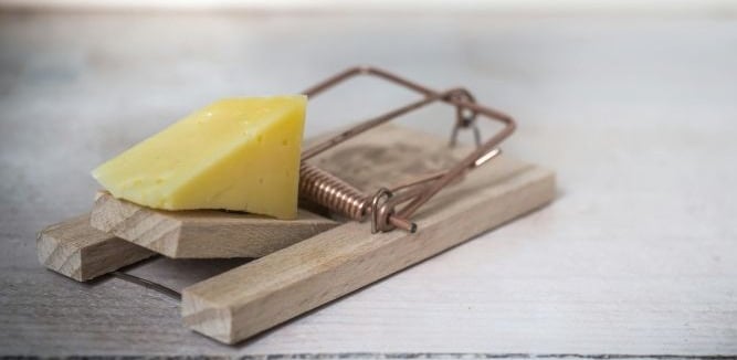 Risk to their relationship