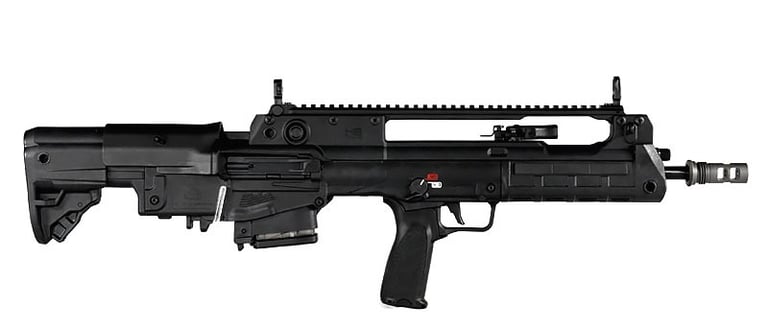 HS VHS-2S sport bul pub 
