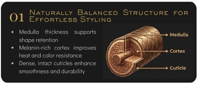 Why Vietnamese Hair Rules the Global Market - Naturally Balanced Structure for Effortless Styling