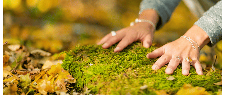 Person with their hands in nature on the earth: grounding.