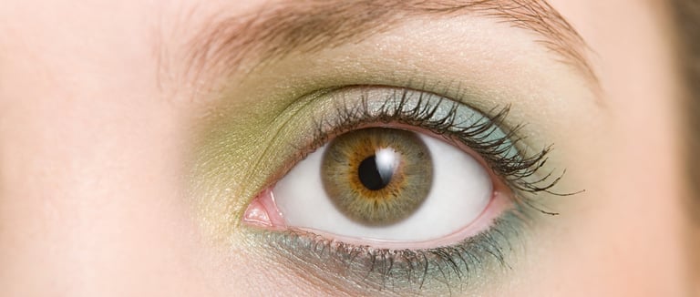 Photo d'un iris brun-vert
