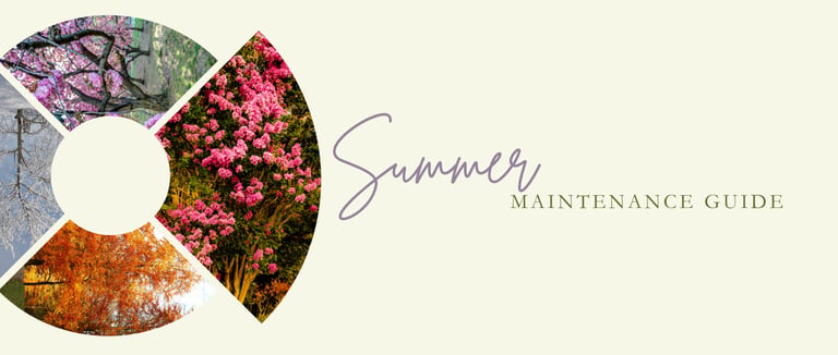 Summer landscape maintenance in Williamsburg VA with lawn care, shrub management, and masonry preservation.