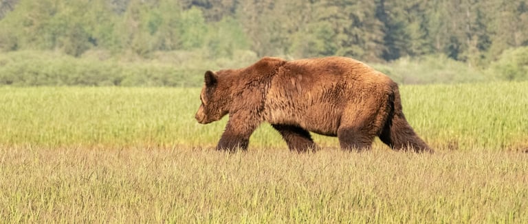 Colombie-Britannique, Canada