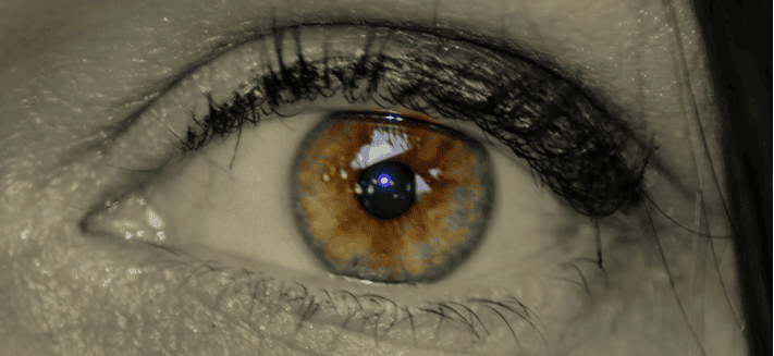 Extreme close-up of Xirkys' hazel eye with details of amber iris and dark eyelashes.