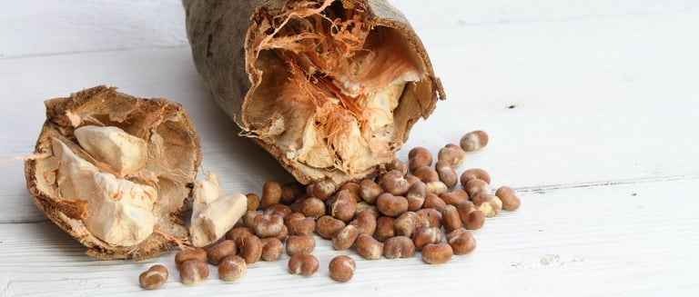 Des graines de baobab